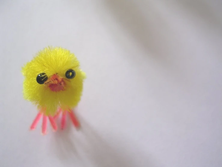 a yellow and black small chicken on top of a white table