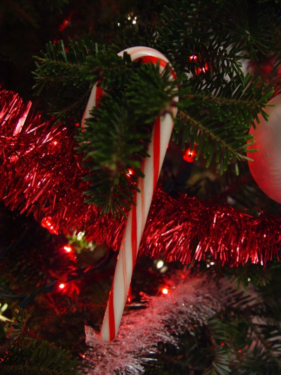 a christmas ornament and two candy canes on a tree