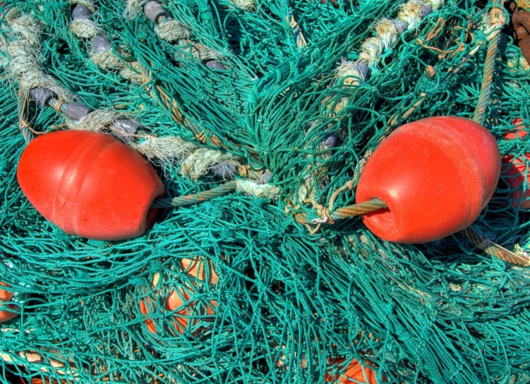 two oranges sitting in a green fishing net