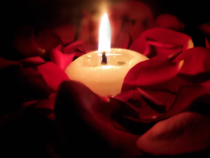 a close up s of a candle with a red rose background