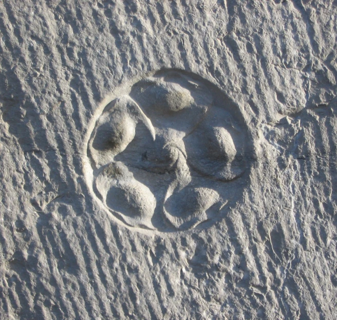 an image of sand carvings on the beach