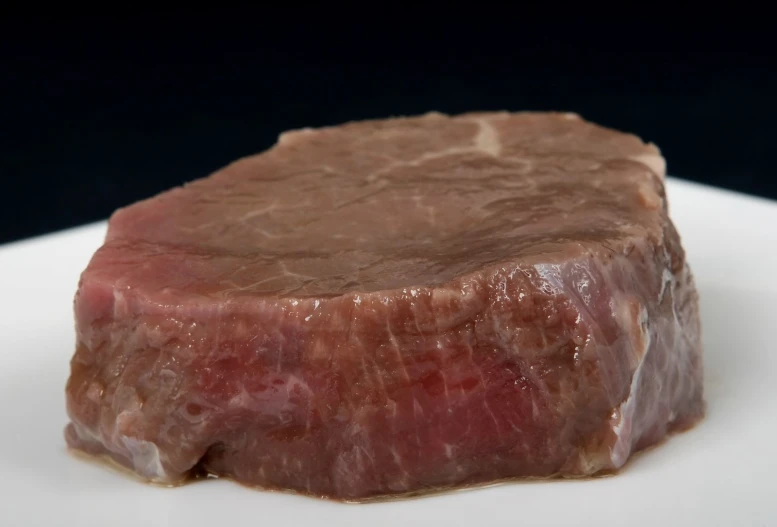 a piece of meat sitting on a white plate