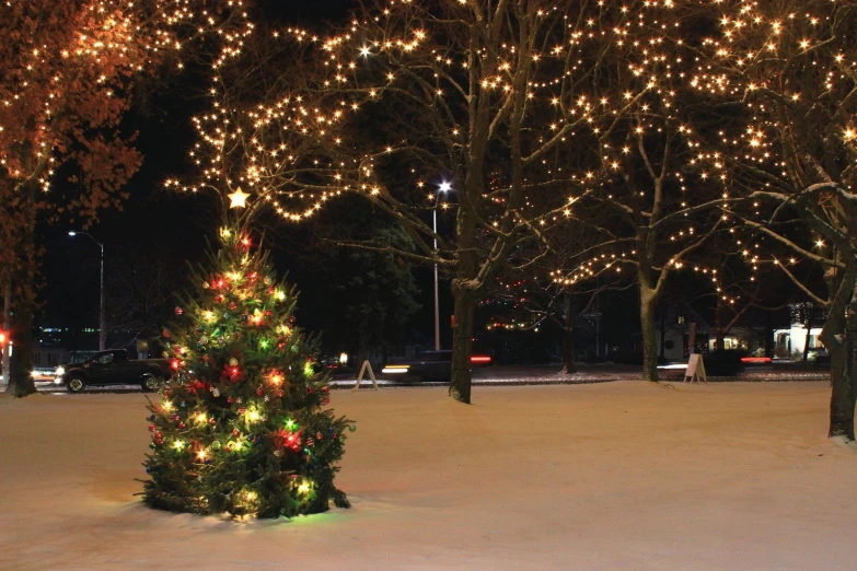 there is a christmas tree covered in lights in the snow