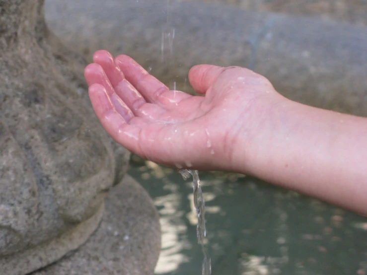 a person holding their hand out to the water