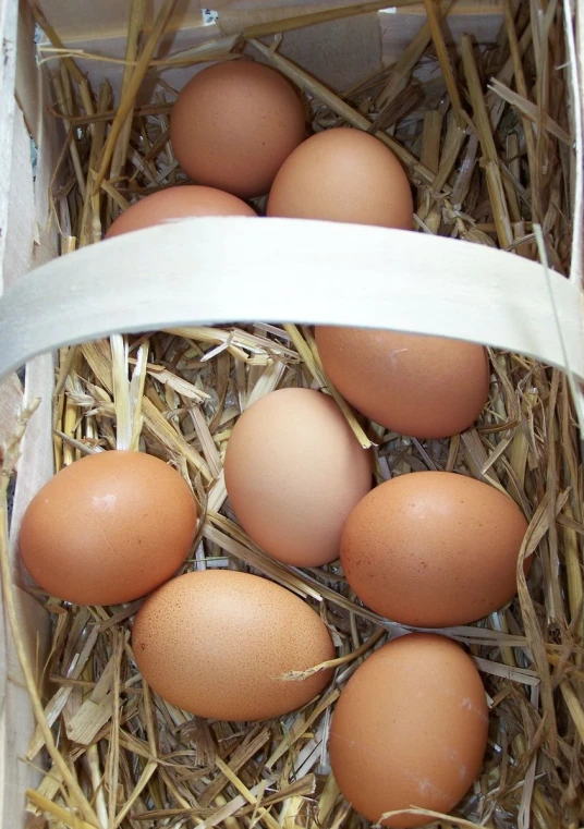 six eggs in a box sitting on hay