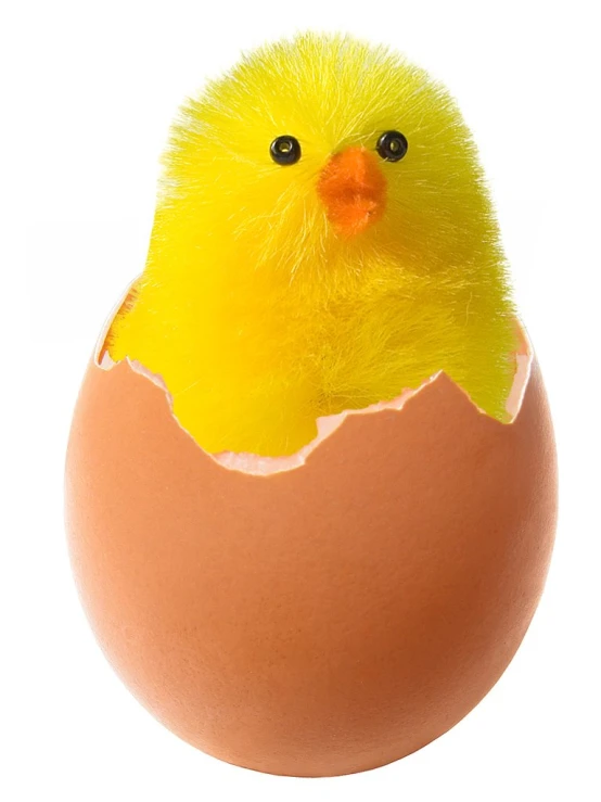 a little yellow bird is poking its head out of an egg