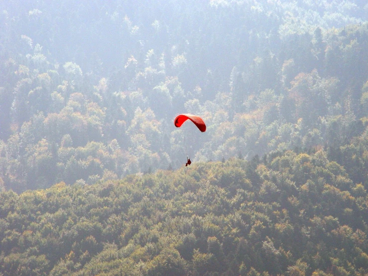 some people are parasailing on a hill and trees