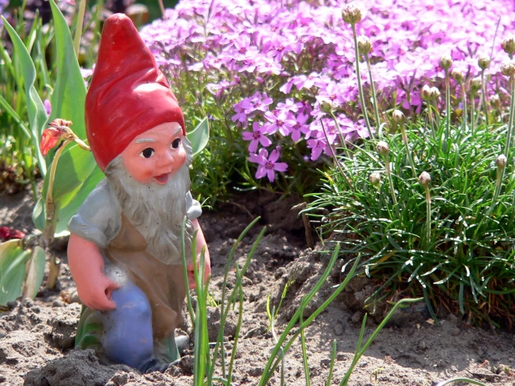 a statue of a garden gnome surrounded by purple flowers