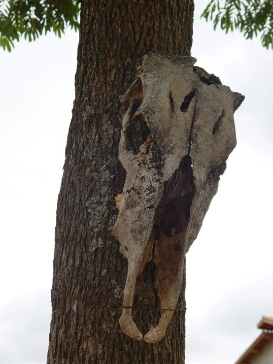 a sculpture is placed on a tree trunk