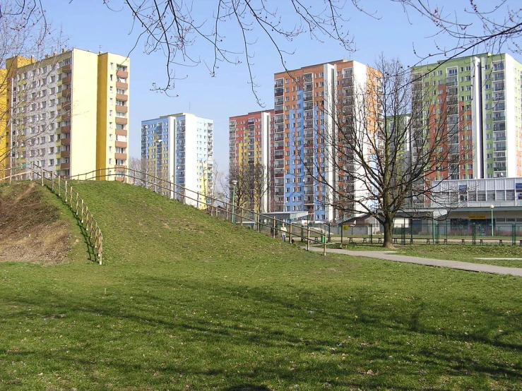 a park area with green grass and building in the background