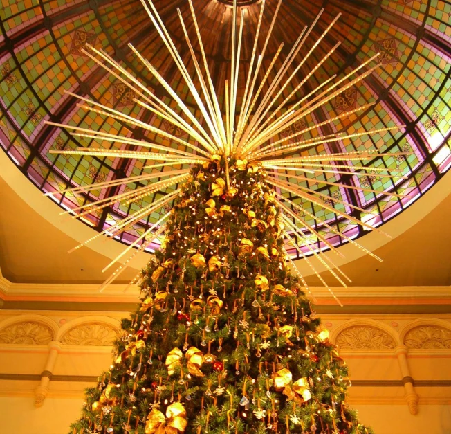 a lit christmas tree stands below an ornate ceiling