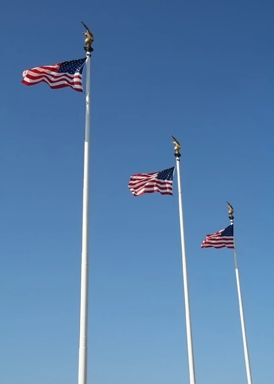 a close up of multiple american flags flying in the sky