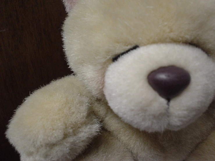 a close up of a teddy bear head on