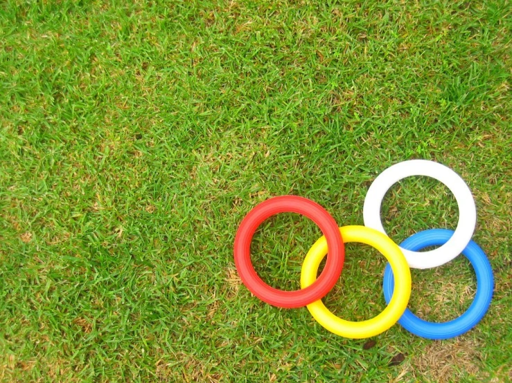 four rings of different colors in the grass