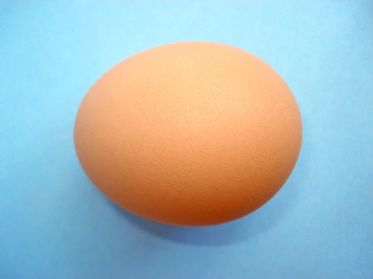 an orange egg on a blue table with white background
