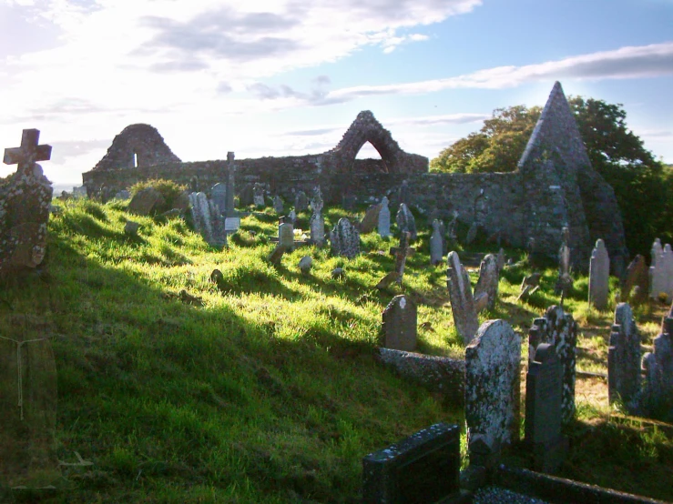 a graveyard in the sunlight with no one walking