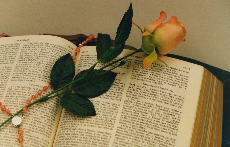 a single rose on a book laying on its side