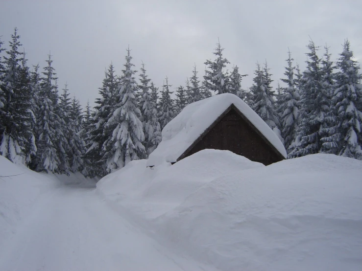 the view of the snowy landscape with trees in the background