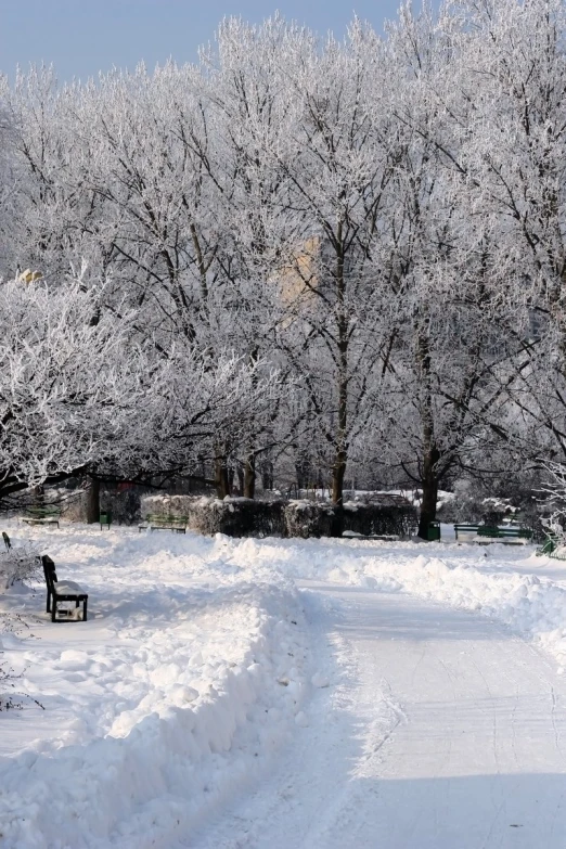 a bench sitting in the middle of a snowy park