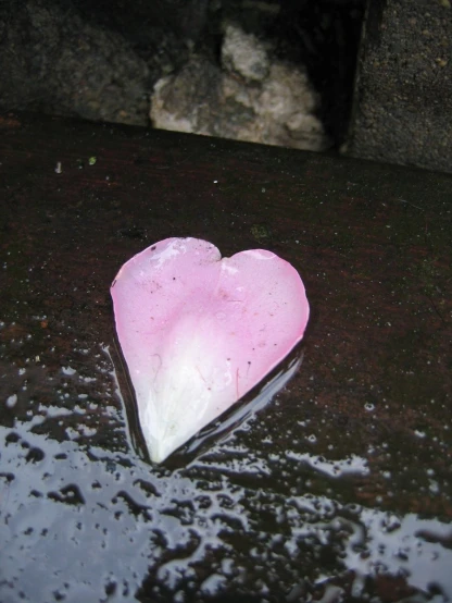 a pink heart shaped object that is sitting in the rain