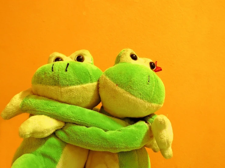 a green teddy bear hugging a stuffed frog