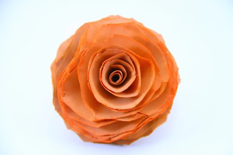 an orange flower that has been folded in half