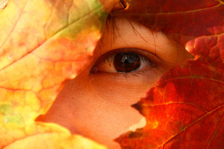 the person's eyes are surrounded by leaves