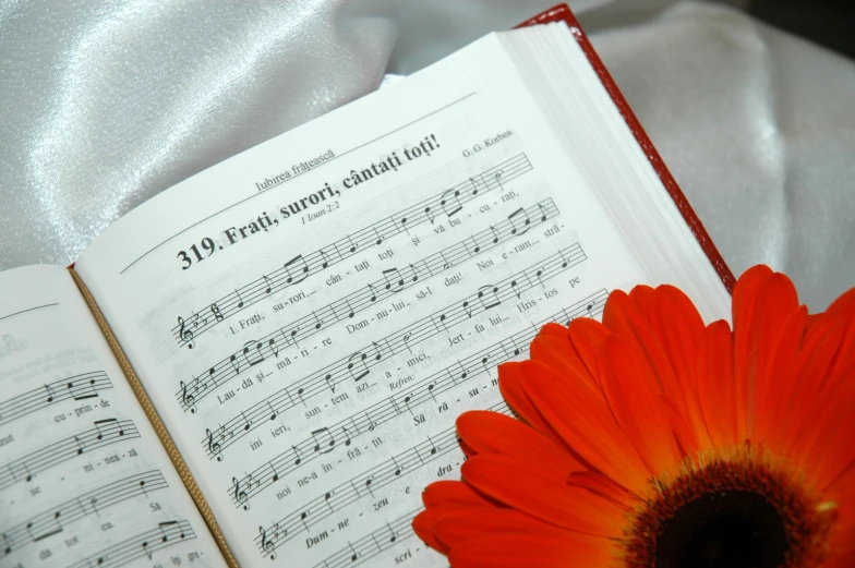 an orange flower resting on an open book