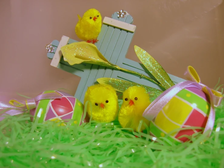 small chicklings sit on top of an open wooden chair