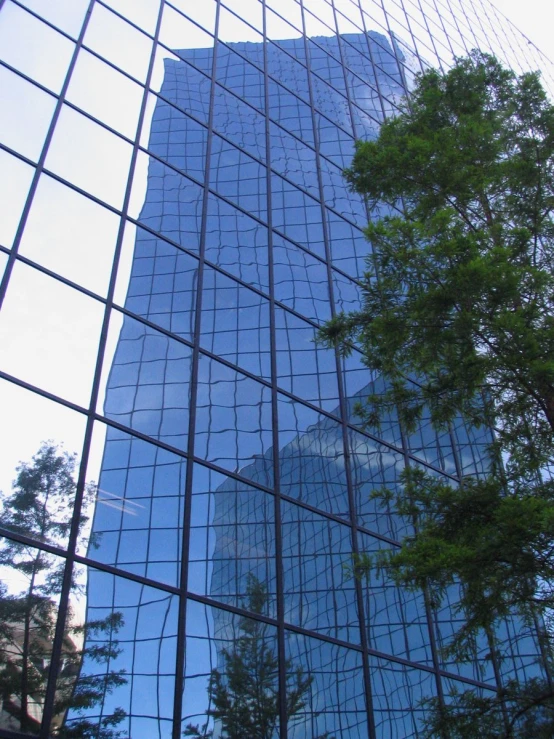 two high rise buildings surrounded by greenery and trees