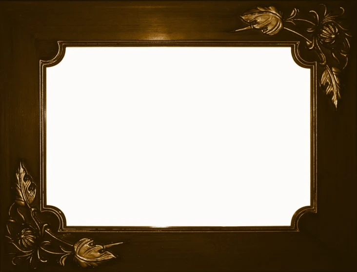 a picture frame that has gold flowers on it