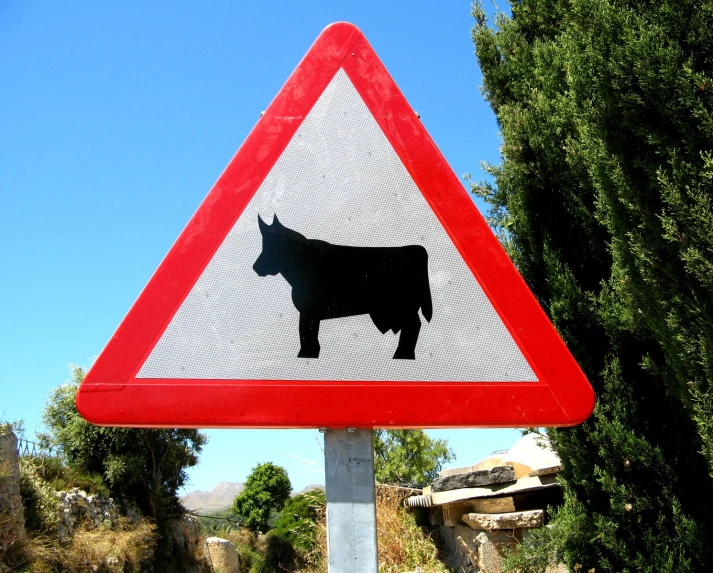 a street sign indicating that cattle should be seen