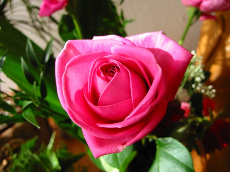 close up image of pink flower in vase with greenery