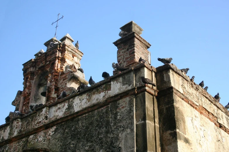 pigeons perched on a building that is built into the top