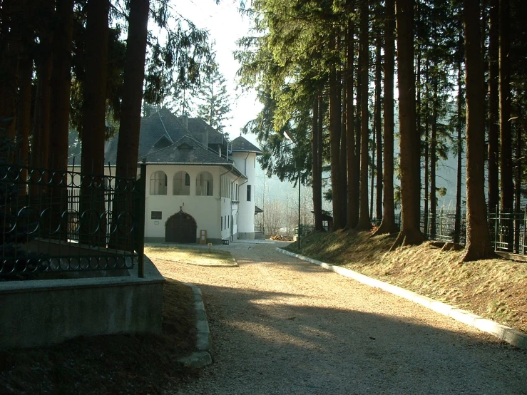 this is a house and tree lined driveway