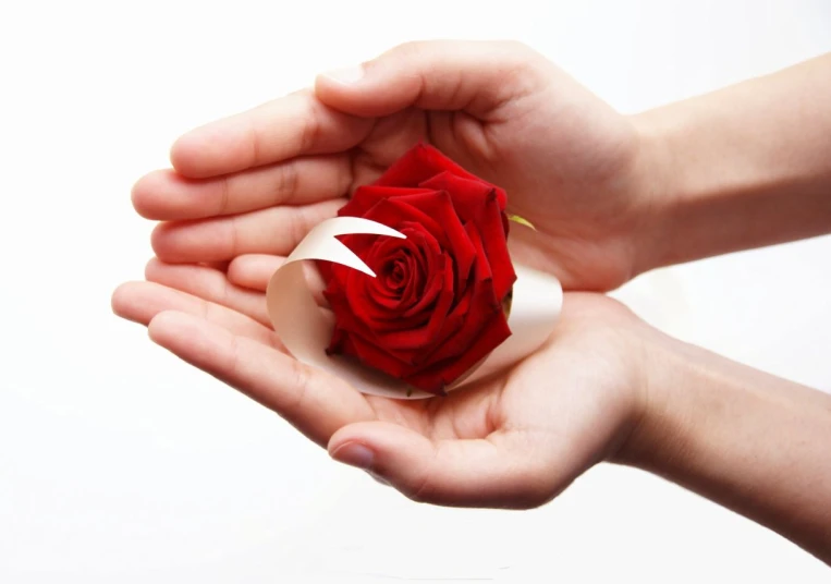 a woman's hands holding a small paper rose with one of its petals open