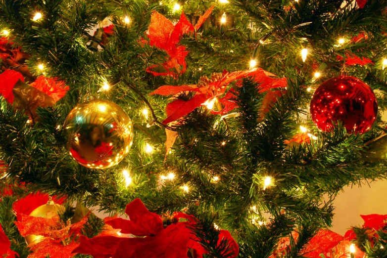 close up view of christmas tree and red ornaments