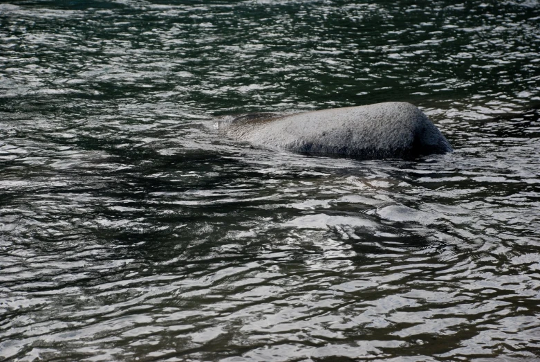 a rock sticking out of a large body of water