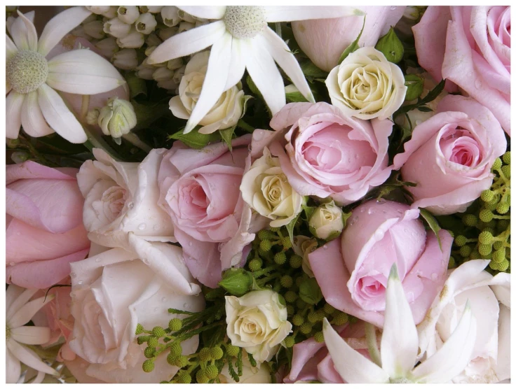 bouquet of pink and white flowers with large petals