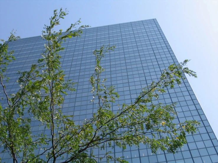 a tall building with a tree next to it