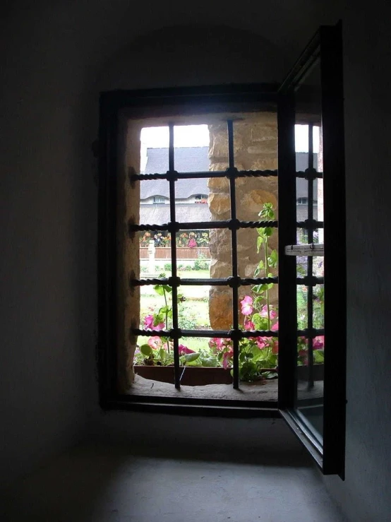 the view outside the window of a house where a planter is kept