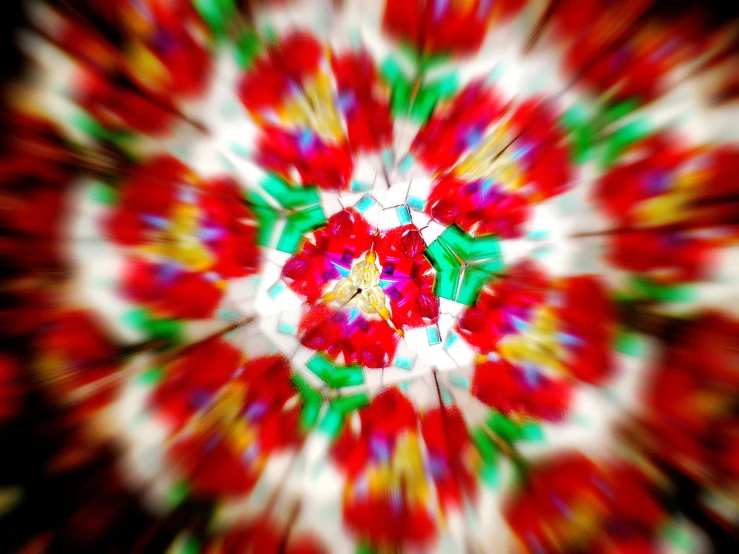 colorful picture with a flower centered in the center