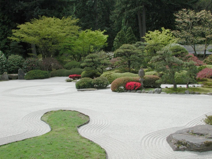 a japanese garden with green and red foliage