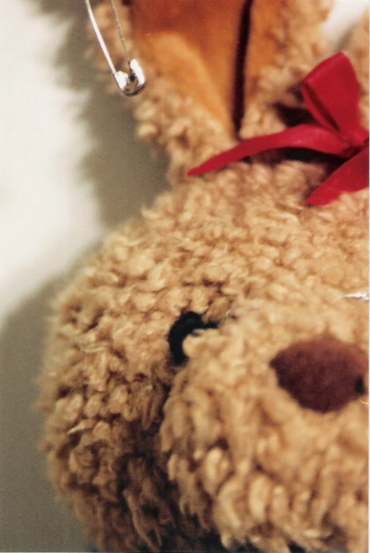 close up view of stuffed animal with earphone cord