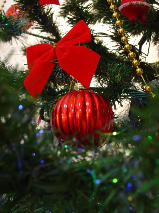 a closeup of a holiday ornament hanging on a christmas tree