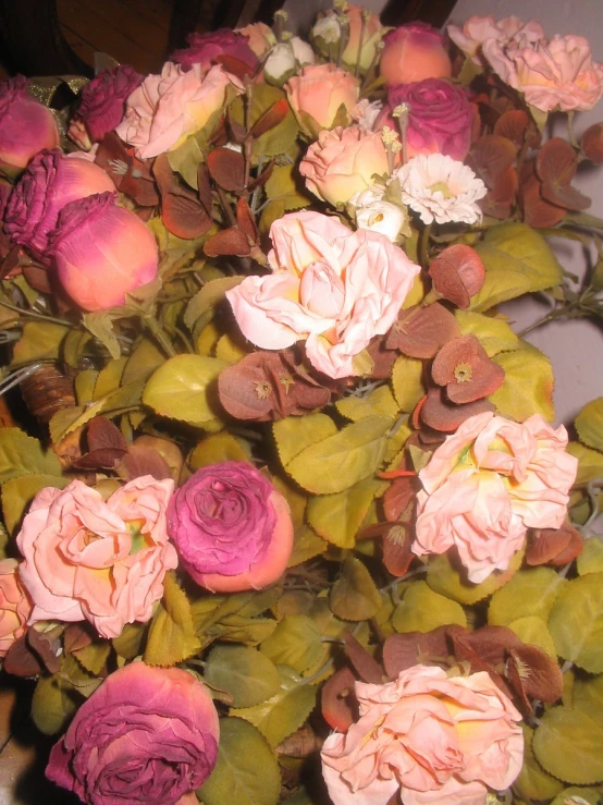 pink and white flowers on some green leaves