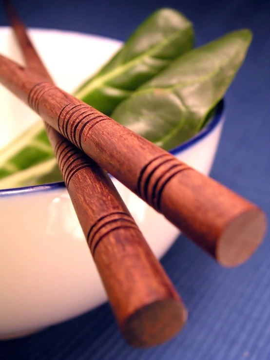 some sticks are next to a bowl with leaves