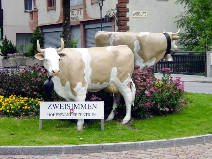 a brown and white cow statue next to a sign