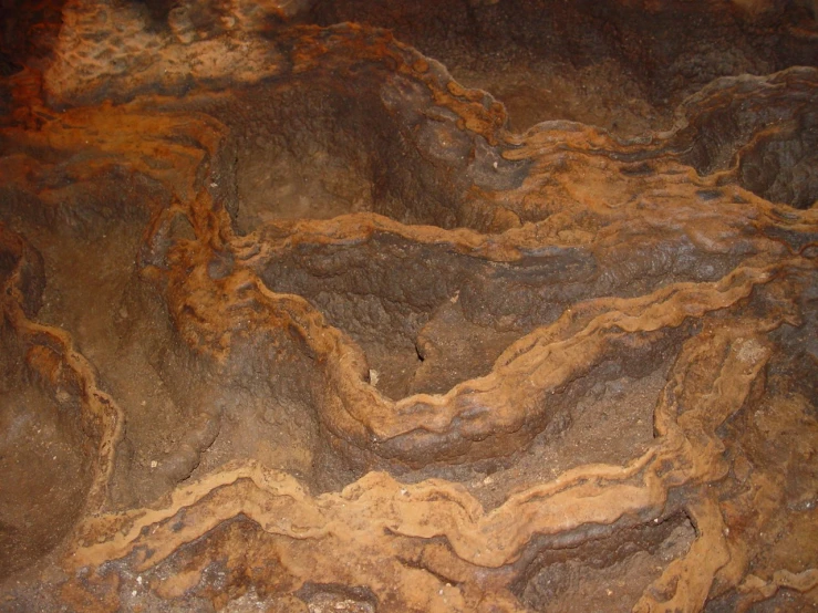 an orange and brown textured rock with black dots