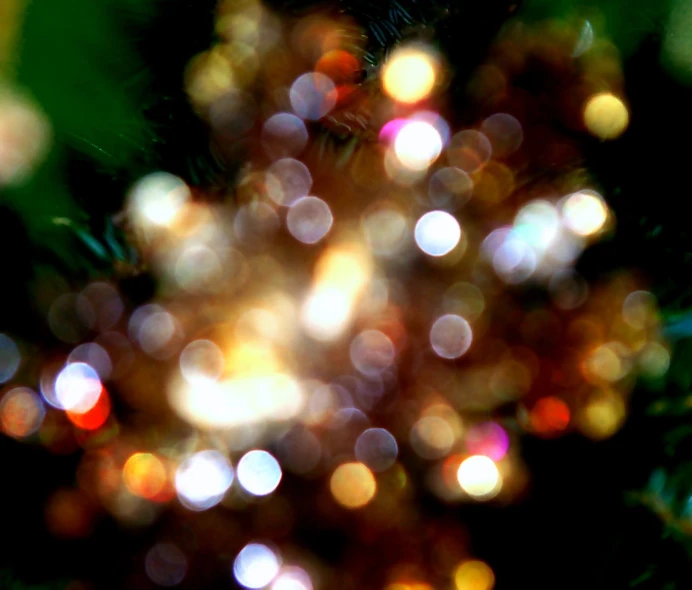 a colorful image of light circles hanging off a tree